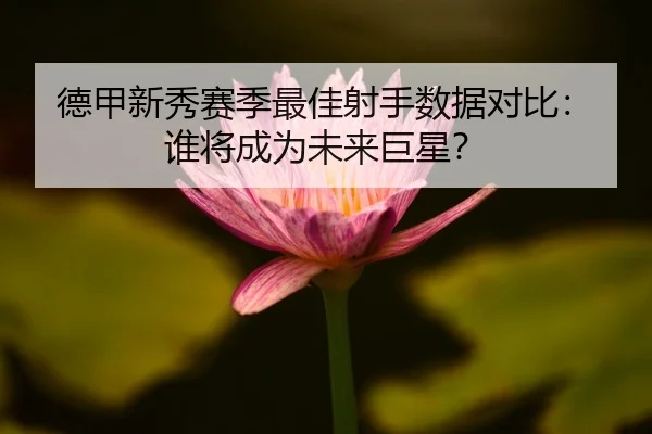 de-jia-xin-xiu-sai-ji-zui-jia-she-shou-shu-ju-dui-bi-shui-jiang-cheng-wei-wei-lai-ju-xing-2-483.jpg